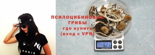 стаф Зеленокумск