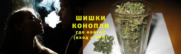 сатива Зеленодольск