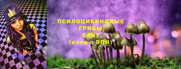 стаф Зеленокумск