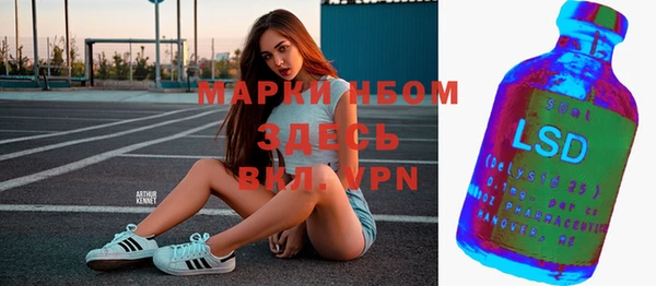 сатива Зеленодольск