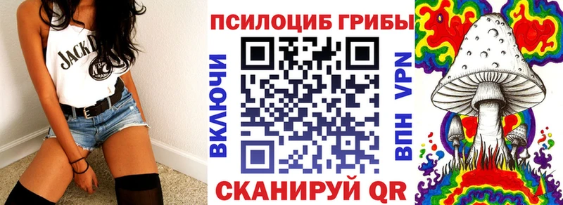 Галлюциногенные грибы GOLDEN TEACHER  дарк нет наркотические препараты  Сельцо 